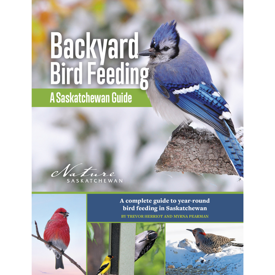 Backyard Bird Feeding