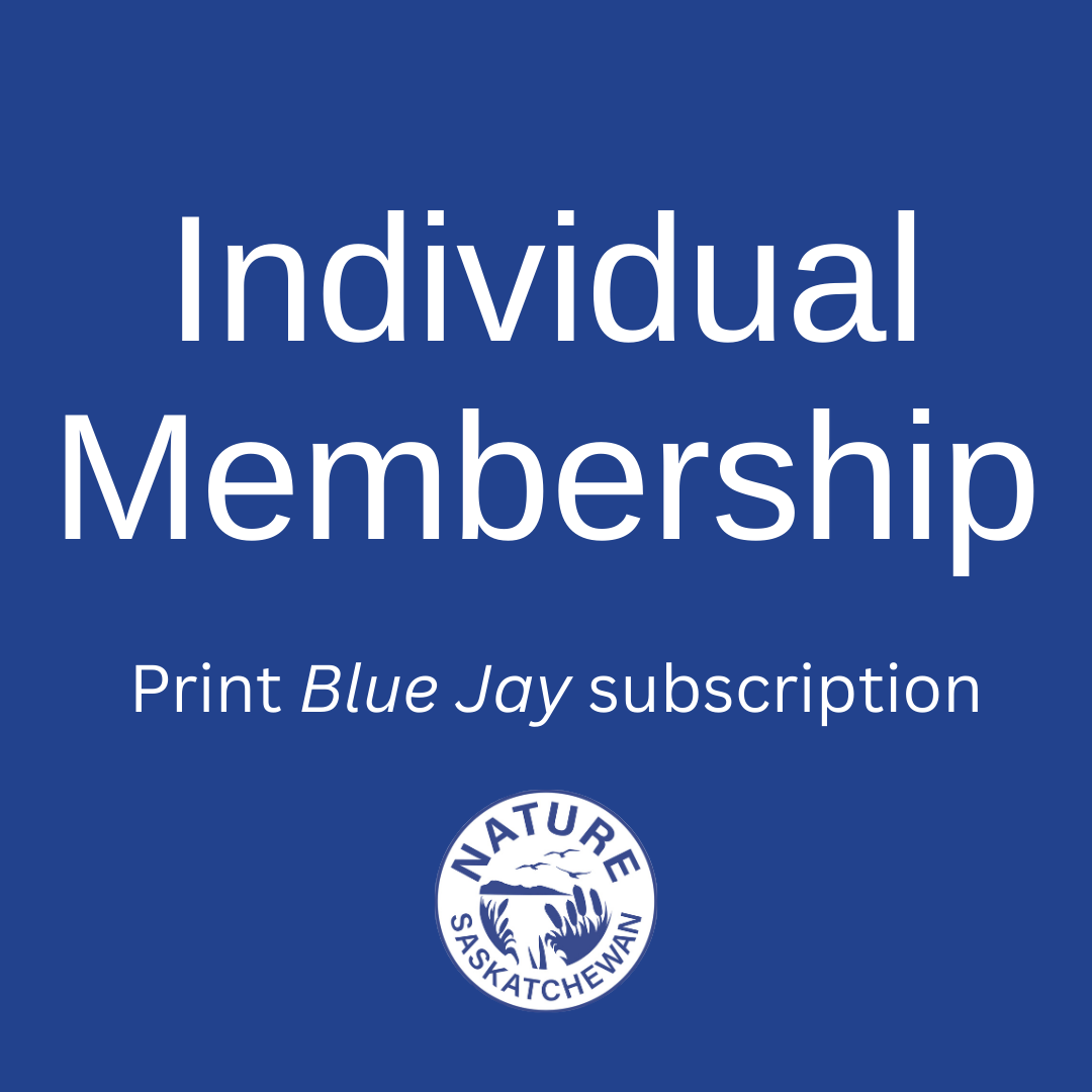 Membership - Individual (print)