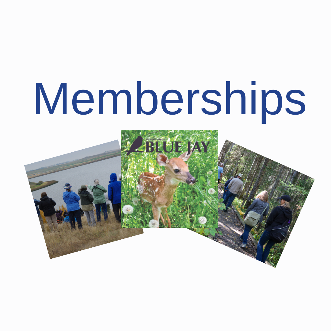 Membership