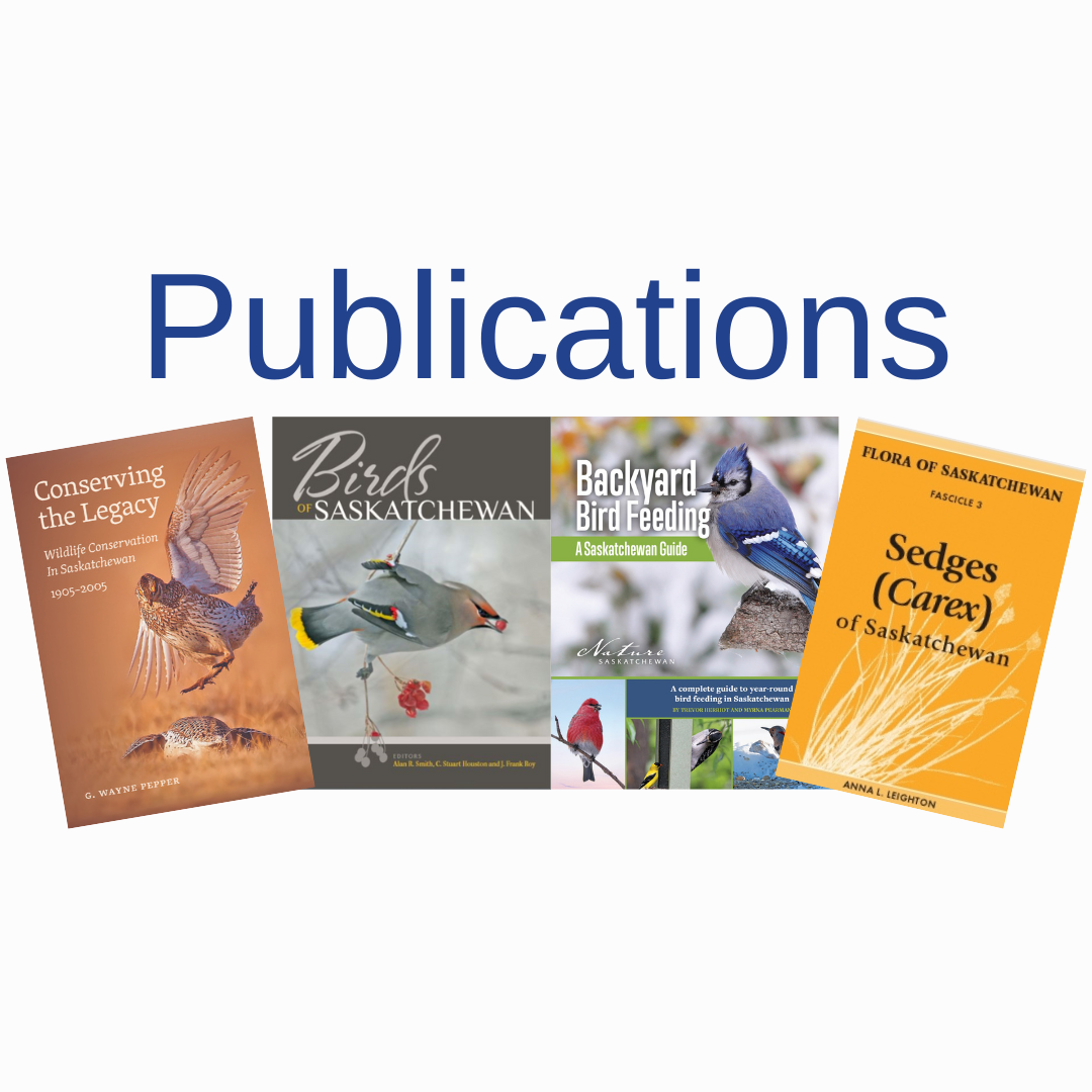 Publications