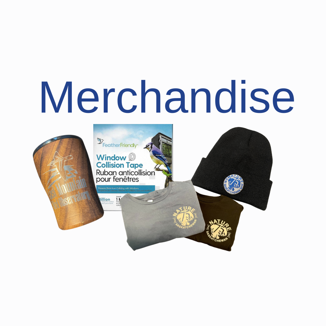 Merchandise