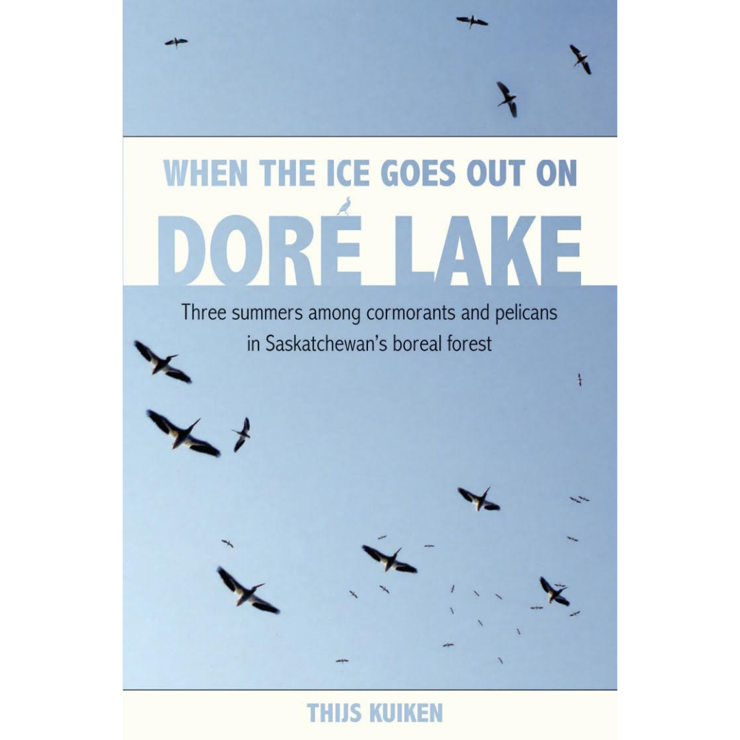 When the Ice Goes Out on Dore Lake