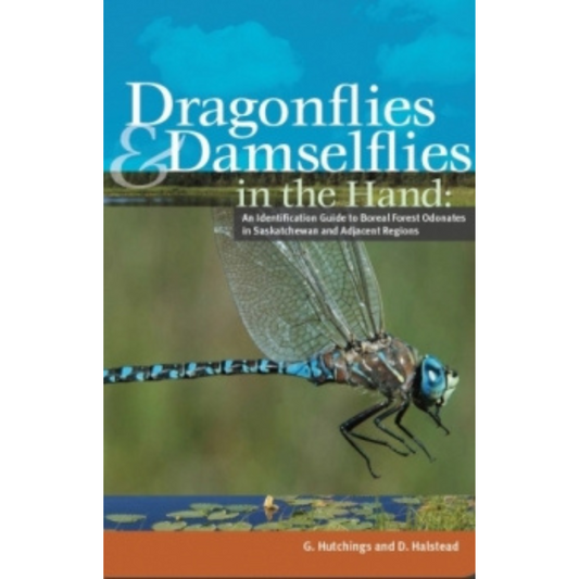 Dragonflies and Damselflies in the Hand