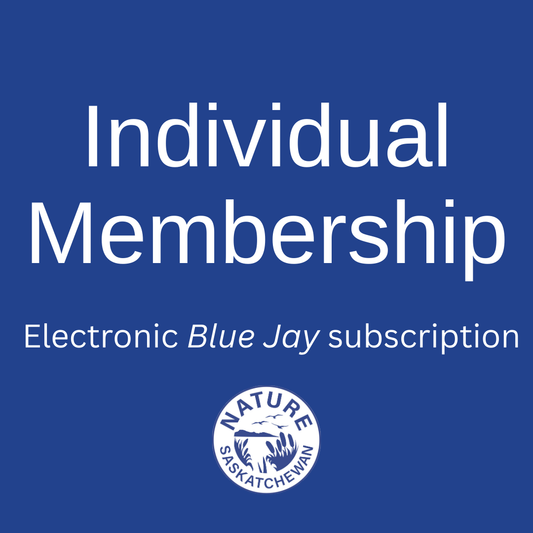 Membership - Individual (electronic)