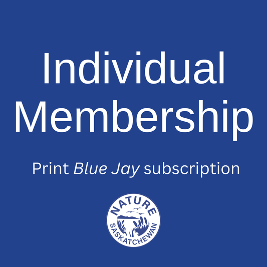 Membership - Individual (print)