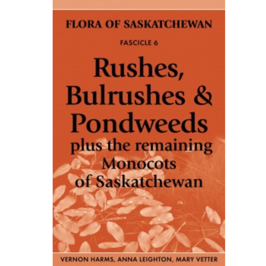 FOSA Rushes, Bulrushes and Pondweeds